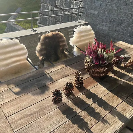 Alpine Luxury With Access To 5 Star Lejlighed Davos